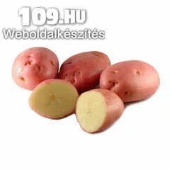 Étkezési burgonya Balatoni Rózsa 40mm+ 10kg/ zsák - Újfehértói telephely