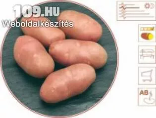 Étkezési burgonya red-scarlett  40mm+ 10kg/zsák